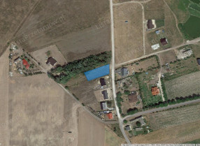 Image category