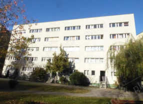 Image category