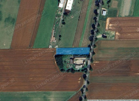 Image category