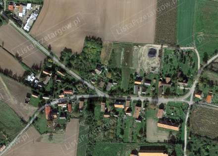 Image category