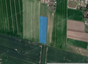 Image category