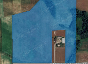 Image category