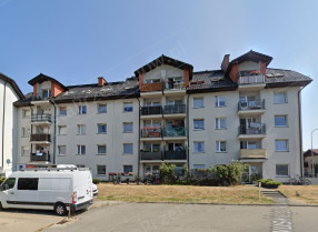 Image category
