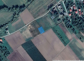 Image category