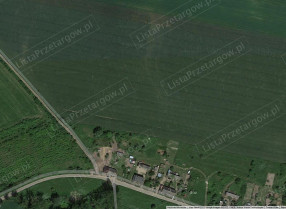 Image category