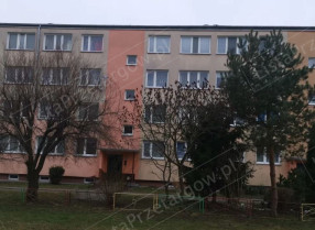 Image category