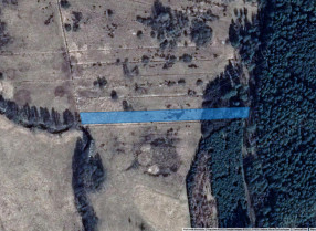 Image category