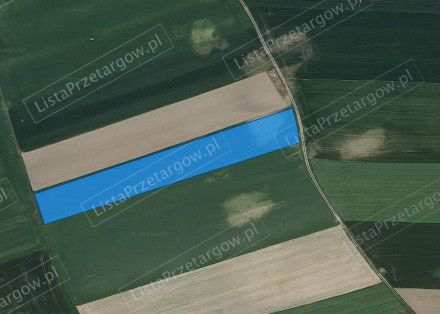 Nieruchomość