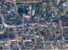 Image category