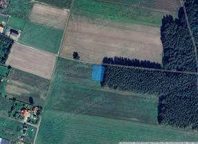Image category