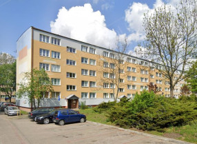 Image category