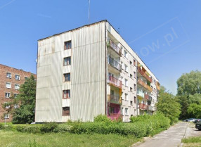 Image category