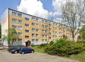 Image category