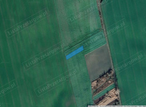 Image category