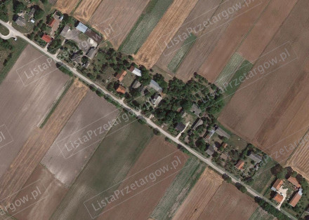 Image category