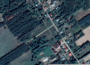 Image category