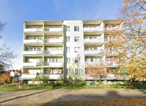 Image category