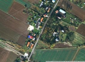 Image category