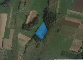 Image category
