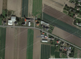 Image category