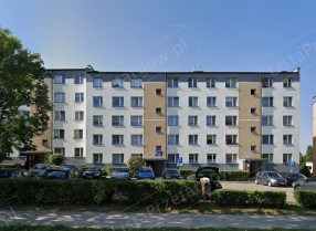 Image category