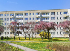 Nieruchomość