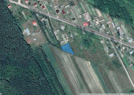 Image category