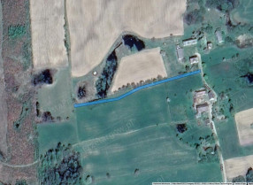 Image category