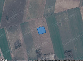 Nieruchomość