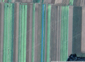 Image category