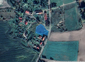 Image category