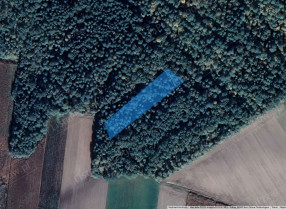 Image category