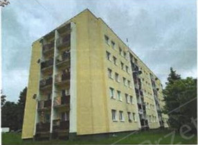 Image category