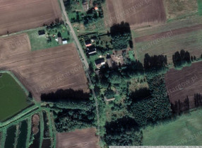 Nieruchomość