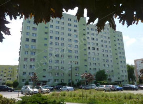 Image category