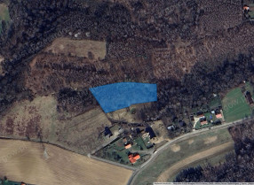 Image category