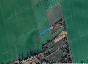 Image category