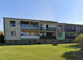 Image category