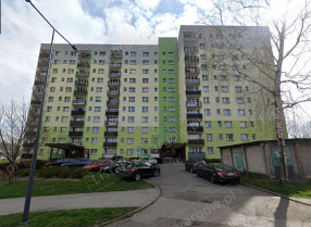 Image category
