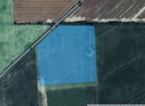 Image category