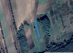 Image category