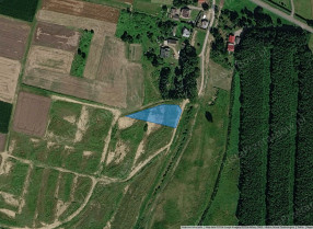 Nieruchomość