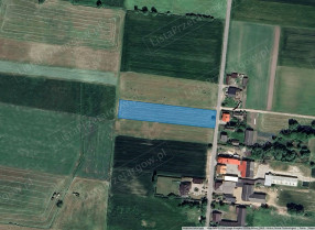 Nieruchomość