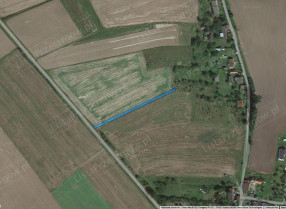 Nieruchomość