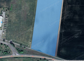 Image category