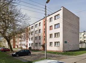 Image category