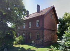 Image category