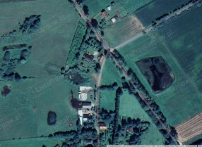 Image category