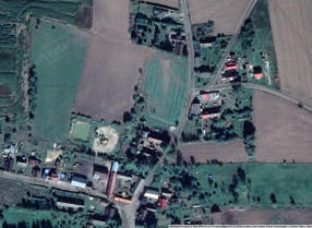 Image category