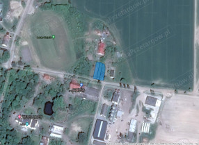 Image category